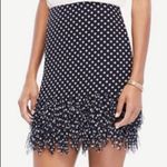 Ann Taylor Navy Blue Polka Dot Fringe Skirt Size 6 Photo 1