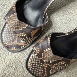 Miss Lola  Brown Heels with Snake Print Photo 1