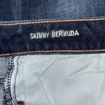 American Eagle Bermuda Shorts Photo 4