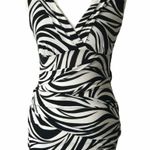 Sweet Storm ✨HP✨ Zebra Ruched Dress✨ Photo 1