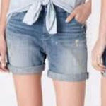 Anthropologie Anthro Holding Horses Gable boyfriend shorts Photo 0