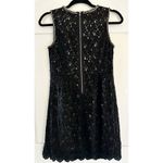 Anthropology Champagne & Strawberry Black Lace Shift Dress Gold Chain Accent M Size M Photo 3