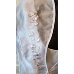 Ever Beauty Lilac 2 Photo 2