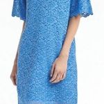 Banana Republic NWT $148 Blue Flutter Sleeve Collared Lace Dress XSP Photo 0