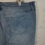 Torrid Denim Jean Shorts Photo 6