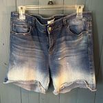 Kensie Denim Blue Women's Shorts | Size 14/32 Photo 0
