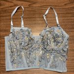 NEW Kawaii Babe Floral Embroidered Bustier XL W/ Matching Underwear Blue Photo 1