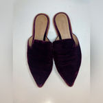 Madewell Women’s Gemma Mule Velvet Purple with Pointed Toe Shoes Size 6 Photo 3