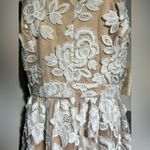 Eliza J Embroidered Mesh Fit & Flare Dress | 12 NWT Photo 5