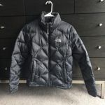 The North Face Dark Grey Winter Jacket Photo 0