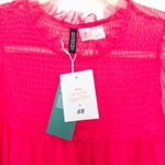 H&M  Collab All The Boys Dress Sz S‎ Hot Pink Sheer Mesh Ruffle Mini Y2K Coquette Photo 6