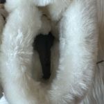 Columbia Sierra Blizzard Tan Faux Fur Lined Suede Winter Snow Boots Size 8 Photo 4