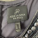 Adrianna Papell Beaded Mesh Sheath Dress 8 Photo 9