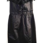 Carolina Herrera Rooster Feather Top Strapless Silk Blend Sheath Dress Black 10 Photo 1