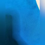 Loft ⭐️Ann Taylor  blue pants 6 petite Photo 3