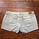 Rubbish r.jeans from Embroidered Denim Shorts NWT Photo 1