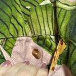 Farm Rio  Green and Pink Leaf Print Women's Shorts Photo 5