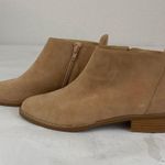 Abusa Abyss Suede Ankle Boots  Photo 3