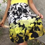 Black Poodle Skirt Size 24 Photo 1