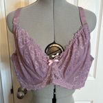 Curve Muse Lavender Lace Bralette, 44C Purple Size undefined Photo 0