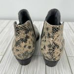 Seychelles  ankle boots Chelsea snakeskin print low heel size 6 Photo 4