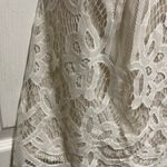 Tobi Lina White Lace Skater Dress Photo 6