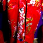 Urban Outfitters  Kimono Sz M/L Photo 3