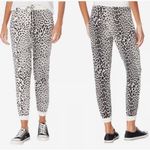 Chaser Women's XS Leopard Cozy Knit Drawstring Joggers Sweatpants Lounge Cozy Photo 1