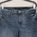 Banana Republic  Jean Shorts Size 28 Distressed Jean Shorts Photo 1