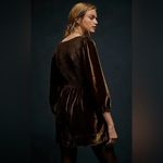 Free People Farrier Velvet Mini Dress - Brown Bear Photo 1