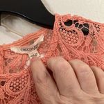 FINAL MARKDOWN Chocolate lace dress small Photo 2