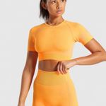 Gymshark Ultra Seamless Crop Top Photo 0