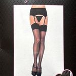 Leg Avenue  Black Sheer Garter Belt and Stocking Set NWT Size Queen Photo 0