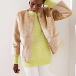 Loft Faux Fur Zip Front Jacket Photo 0