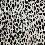 Brandy Melville leopard print mini skirt XS mobwife sexy Sirencore animal print Photo 2