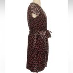 J.Crew Faux Wrap Velvet Rose Leopard Print Dress Size 2 XS Shabby Chic Photo 6