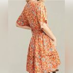 Roller Rabbit  Vado Cecilia Dress Fit and Flare Orange Floral Small Photo 3