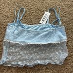 Grey Bandit  Top Photo 1