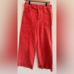 Anthropologie Pilcro High-Rise Seamed Pants size 30 Photo 3