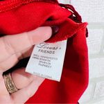 Lovers + Friends  Blush Lace Mini Dress in Poppy Red Size XS Photo 12