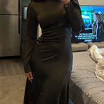 Aritzia Wilfred  Dress Photo 0