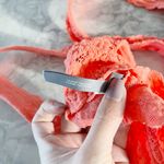 Aerie Coral Lace Cross-Back Bralette Photo 5