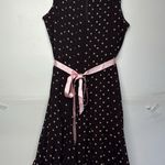 Sandra Darren  Dress Women’s 10P Semi-Sheer Polka Dot Zipper Sleeveless 10 Petite Photo 0