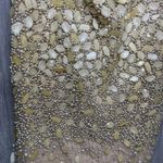 Nwt Eleni Elias beaded stone gold glitter strapless formal prom night out dress Tan Size 6 Photo 6