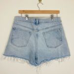 Pilcro Anthropologie  light wash denim cutoff shorts. Size 31 Photo 3