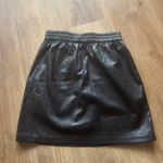 Aritzia Babaton Leather Skirt Mini Photo 1