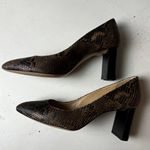 M. GEMI - The Lustro Block Heel Amber Printed Leather Snakeskin Professional Shoe Photo 0