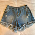 Hayden Denim Shorts Photo 0