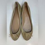 Banana Republic Women's Robin Almond-Toe Ballet Flat Size 9.5 Photo 2