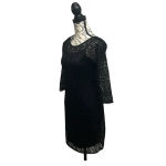 EXPRESS Vtg Sheer Crochet Black Dress XS Witchy Goth Grunge Dark Coquette Sheath Photo 3